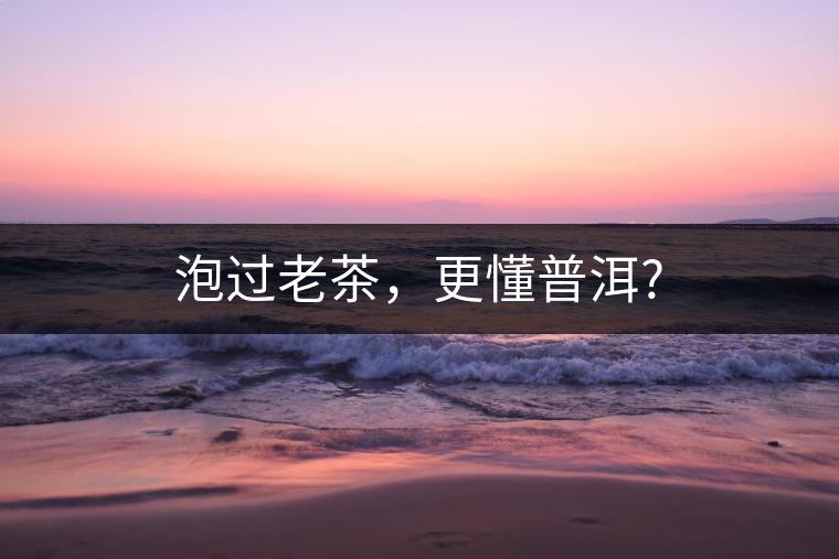 泡過老茶,更懂普洱? 泡過老茶,更懂普洱?