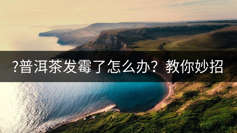 ?普洱茶發霉了怎么辦?教你妙招應對發霉的普洱茶! ?普洱茶發霉了怎么辦?教你妙招應對發霉的普洱茶!