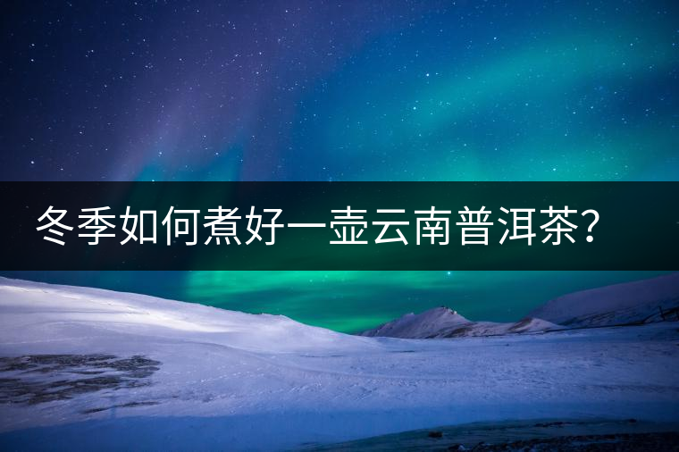 冬季如何煮好一壺云南普洱茶？記好這份煮茶攻略
