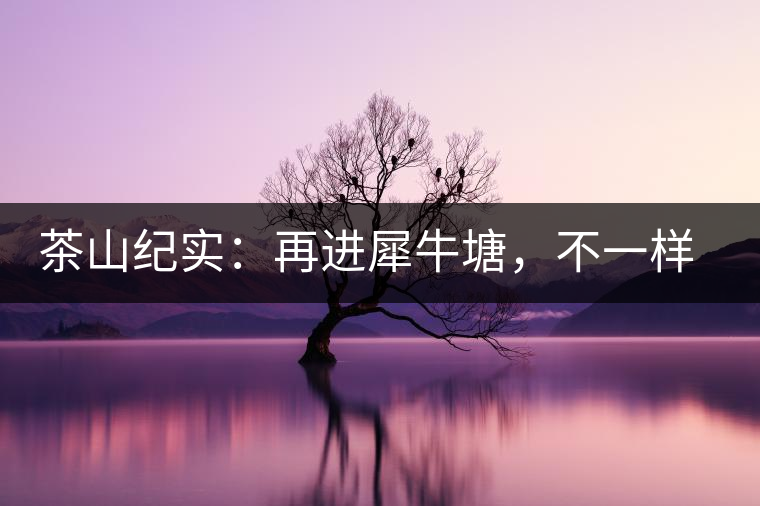 茶山紀實:再進犀牛塘,不一樣的感覺;菁瑤可以預見的豐收年 茶山紀實:再進犀牛塘,不一樣的感覺;菁瑤可以預見的豐收年