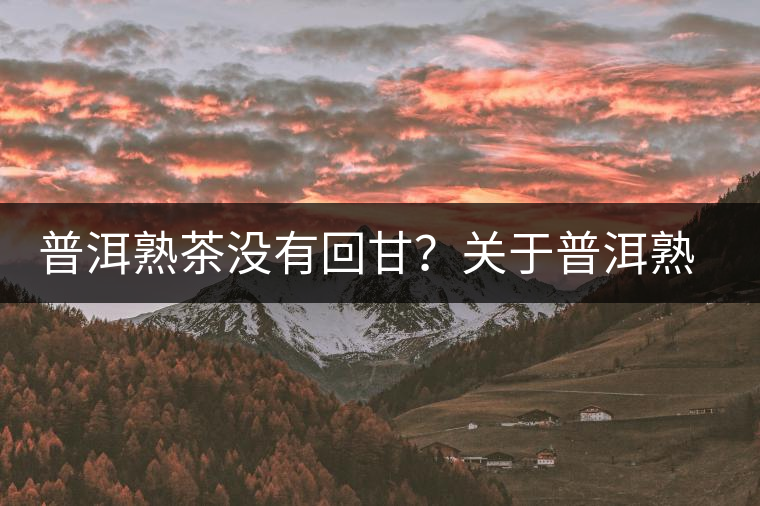 普洱熟茶沒有回甘？關于普洱熟茶的這些知識你必須知道！