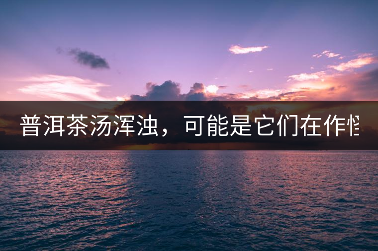 普洱茶湯渾濁,可能是它們在作怪? 普洱茶湯渾濁,可能是它們在作怪?