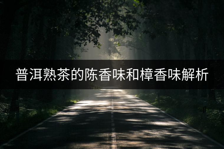 普洱熟茶的陳香味和樟香味解析 普洱熟茶的陳香味和樟香味解析