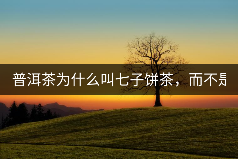 普洱茶為什么叫七子餅茶,而不是六子餅、八子餅......? 普洱茶為什么叫七子餅茶,而不是六子餅、八子餅......?