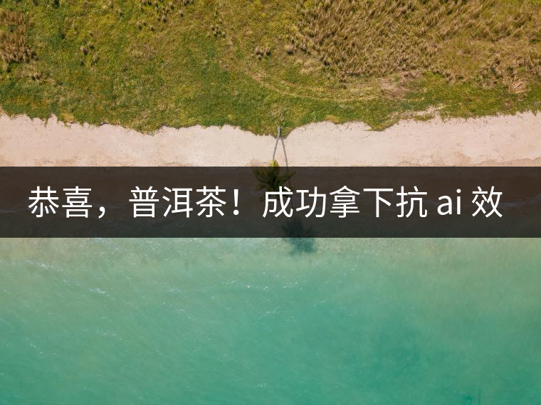 恭喜，普洱茶！成功拿下抗 ai 效果第二名！
