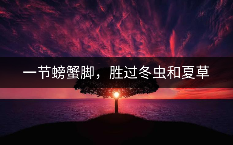 一節螃蟹腳，勝過冬蟲和夏草