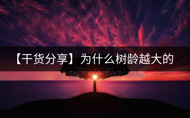 【干貨分享】為什么樹齡越大的普洱生茶，苦味越容易化掉？