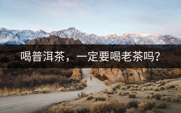 喝普洱茶,一定要喝老茶嗎? 喝普洱茶,一定要喝老茶嗎?