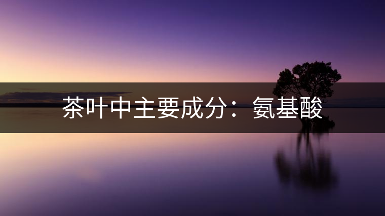 茶葉中主要成分:氨基酸 茶葉中主要成分:氨基酸