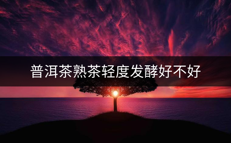 普洱茶熟茶輕度發酵好不好