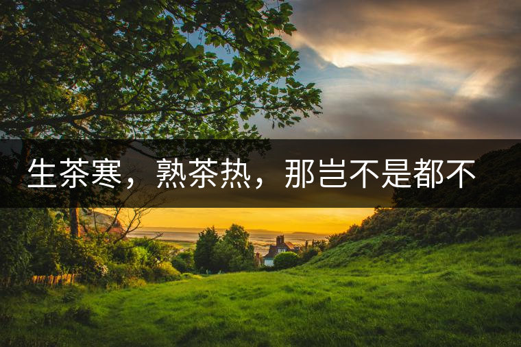 生茶寒，熟茶熱，那豈不是都不能喝了？丨實用