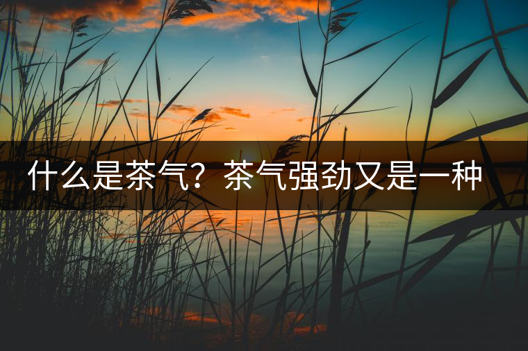 什么是茶氣?茶氣強勁又是一種怎樣的體驗? 什么是茶氣?茶氣強勁又是一種怎樣的體驗?