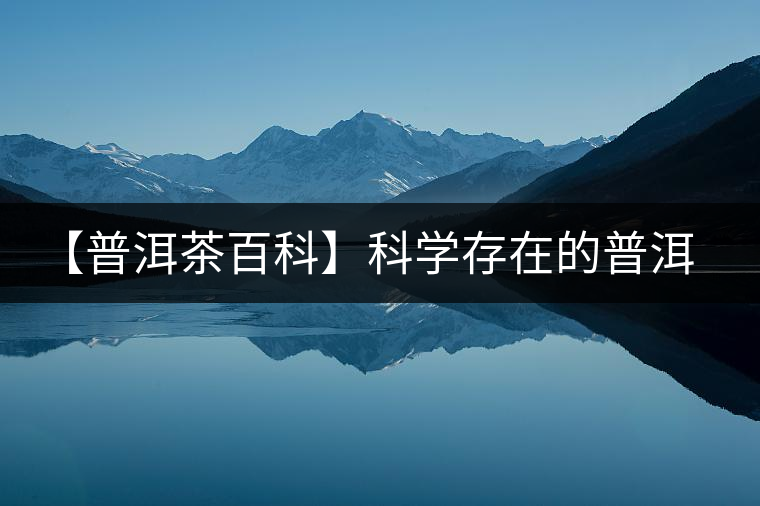 【普洱茶百科】科學存在的普洱茶氣