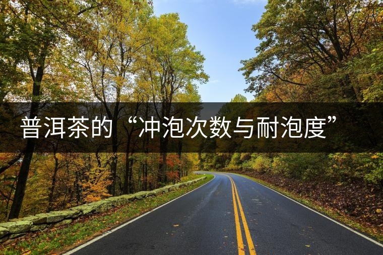 普洱茶的“沖泡次數與耐泡度”，你都了解嗎？