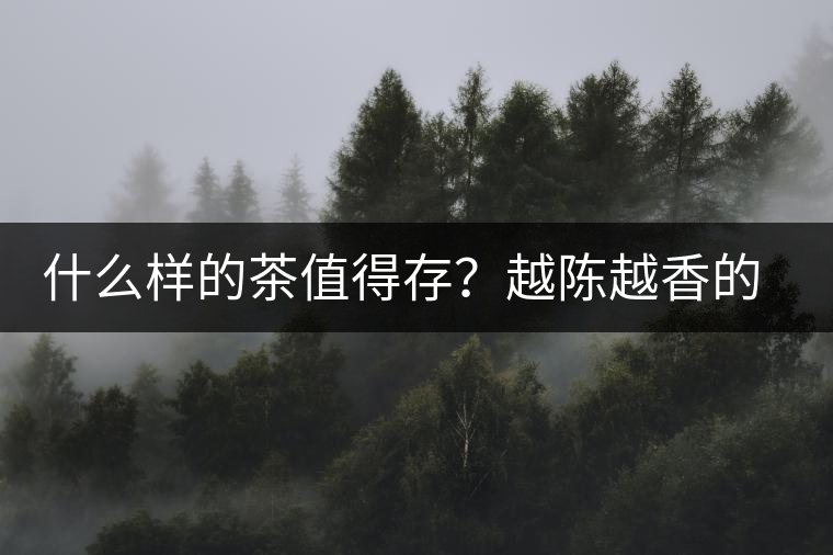 什么樣的茶值得存？越陳越香的本質(zhì)是什么？