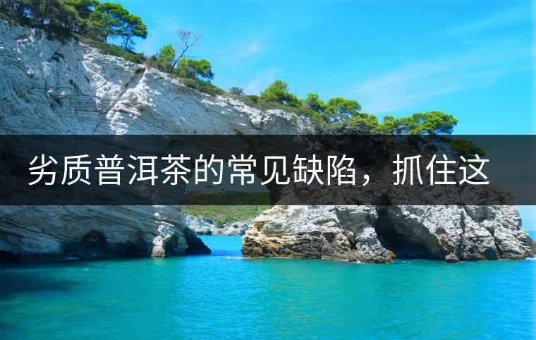 劣質(zhì)普洱茶的常見缺陷,抓住這三個特征,拒絕劣質(zhì)茶! 劣質(zhì)普洱茶的常見缺陷,抓住這三個特征,拒絕劣質(zhì)茶!