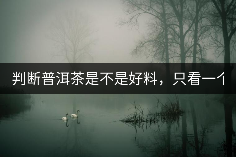 判斷普洱茶是不是好料，只看一個(gè)地方！