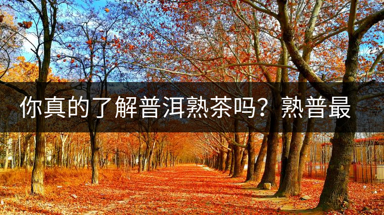 你真的了解普洱熟茶嗎?熟普最詳細的揭秘都在這里了。 你真的了解普洱熟茶嗎?熟普最詳細的揭秘都在這里了。