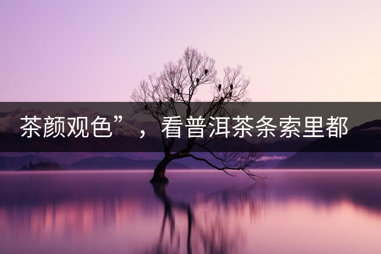 茶顏觀色”，看普洱茶條索里都蘊(yùn)含著怎樣的“密碼”？