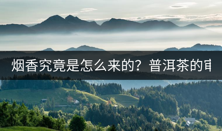 煙香究竟是怎么來(lái)的？普洱茶的審美困局。