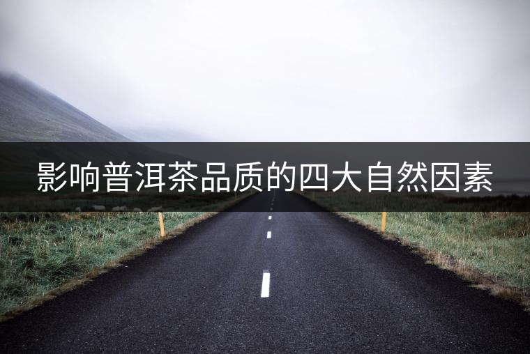 影響普洱茶品質的四大自然因素 影響普洱茶品質的四大自然因素