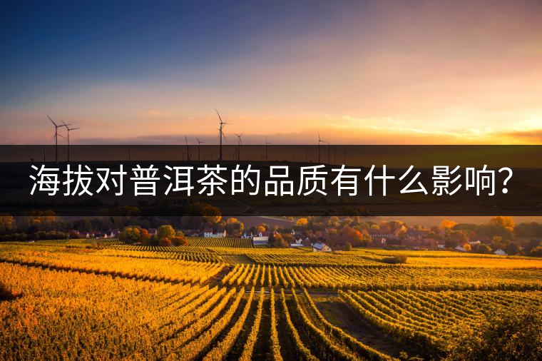海拔對普洱茶的品質(zhì)有什么影響? 海拔對普洱茶的品質(zhì)有什么影響?