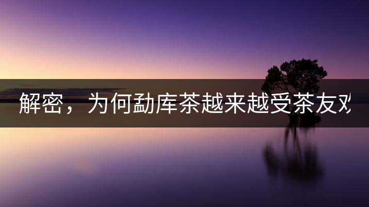 解密，為何勐庫茶越來越受茶友歡迎！