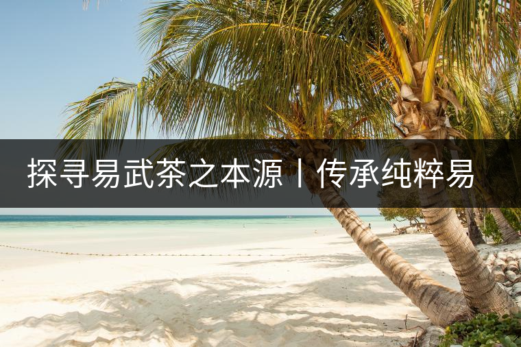 探尋易武茶之本源丨傳承純粹易武味 探尋易武茶之本源丨傳承純粹易武味