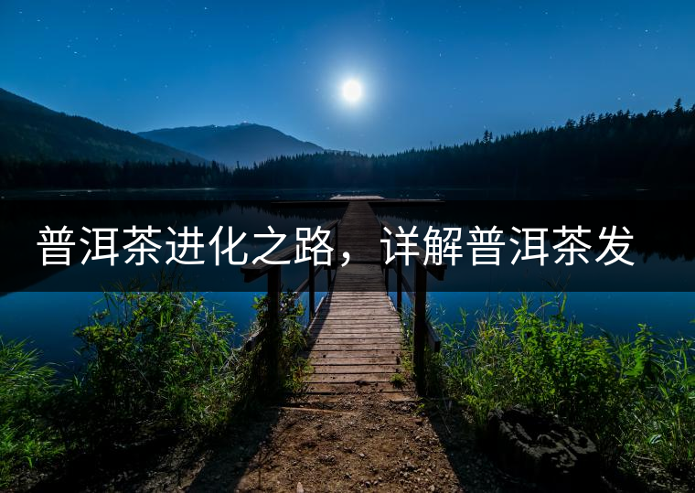 普洱茶進化之路，詳解普洱茶發展的三大重要階段