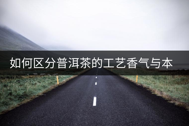 如何區分普洱茶的工藝香氣與本質香氣