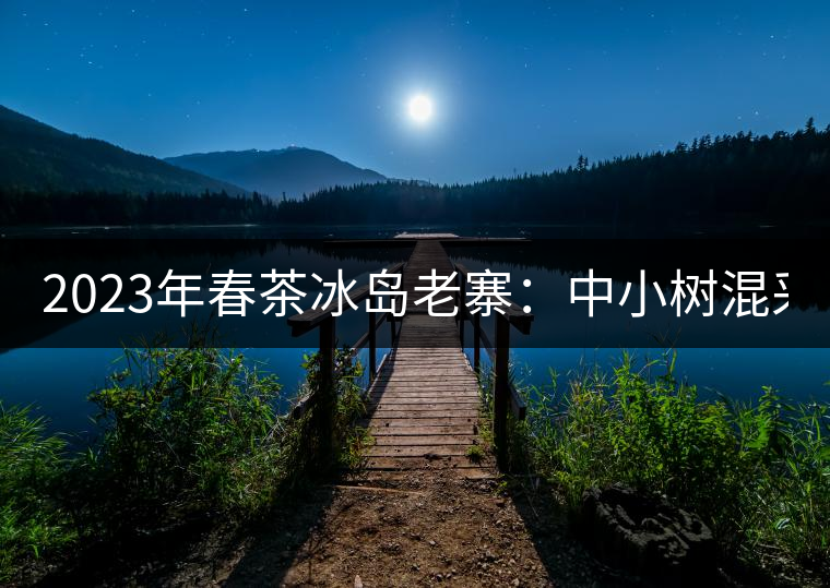 2023年春茶冰島老寨:中小樹混采2500-3000元/公斤,大樹:7000-8000元/公斤,古樹混采:28000-36000元/公斤 2023年春茶冰島老寨:中小樹混采2500-3000元/公斤,大樹:7000-8000元/公斤,古樹混采:28000-36000元/公斤