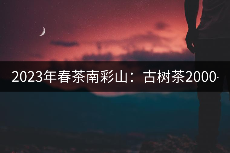 2023年春茶南彩山:古樹茶2000-2200元/公斤,大樹混采1200-1500元/公斤。 2023年春茶南彩山:古樹茶2000-2200元/公斤,大樹混采1200-1500元/公斤。