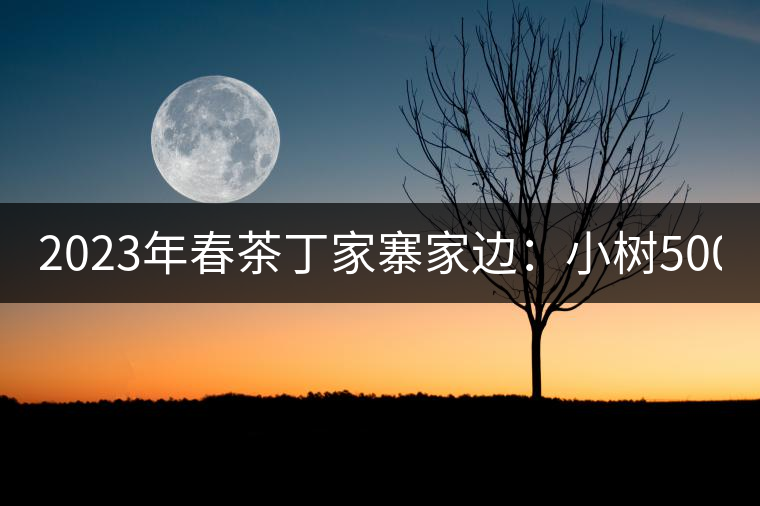 2023年春茶丁家寨家邊:小樹500元/公斤,古樹1500-1600元/公斤 2023年春茶丁家寨家邊:小樹500元/公斤,古樹1500-1600元/公斤