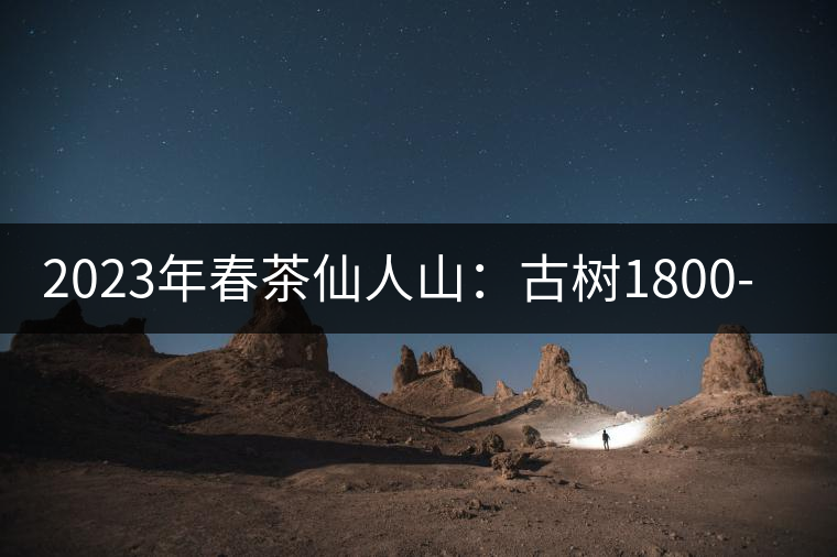 2023年春茶仙人山:古樹1800-2500元/公斤,老曼峨:小樹:600元/公斤 1600-1800元/公斤 2023年春茶仙人山:古樹1800-2500元/公斤,老曼峨:小樹:600元/公斤 1600-1800元/公斤