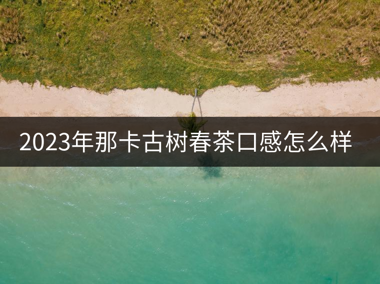 2023年那卡古樹春茶口感怎么樣？