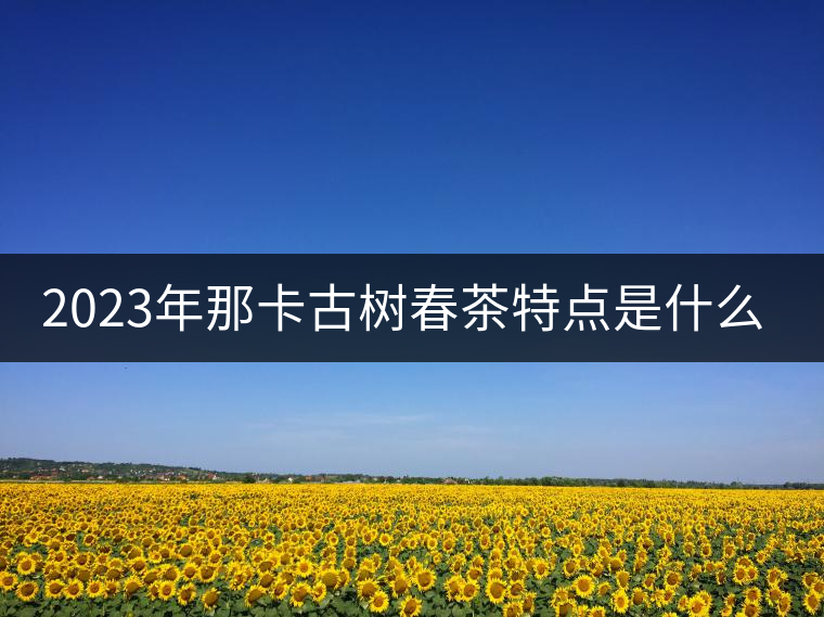 2023年那卡古樹春茶特點(diǎn)是什么? 2023年那卡古樹春茶特點(diǎn)是什么?
