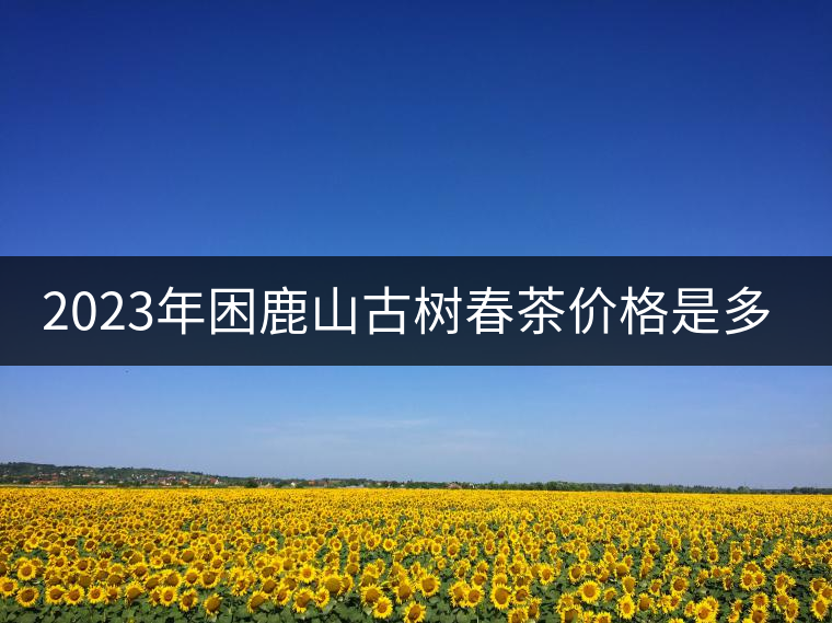 2023年困鹿山古樹春茶價格是多少? 2023年困鹿山古樹春茶價格是多少?