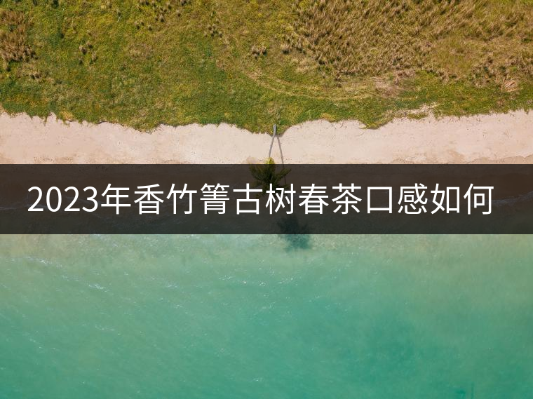 2023年香竹箐古樹春茶口感如何? 2023年香竹箐古樹春茶口感如何?