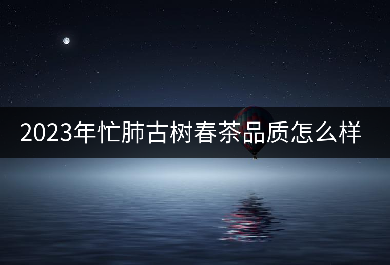 2023年忙肺古樹春茶品質怎么樣？