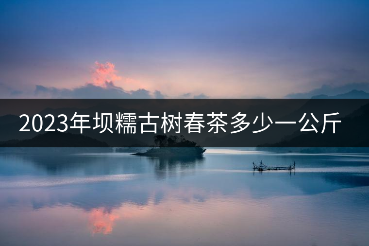 2023年壩糯古樹春茶多少一公斤? 2023年壩糯古樹春茶多少一公斤?