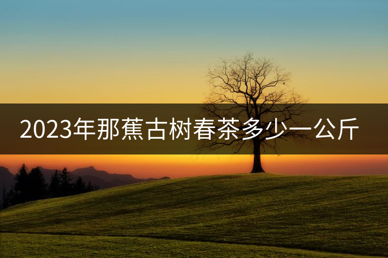 2023年那蕉古樹春茶多少一公斤？