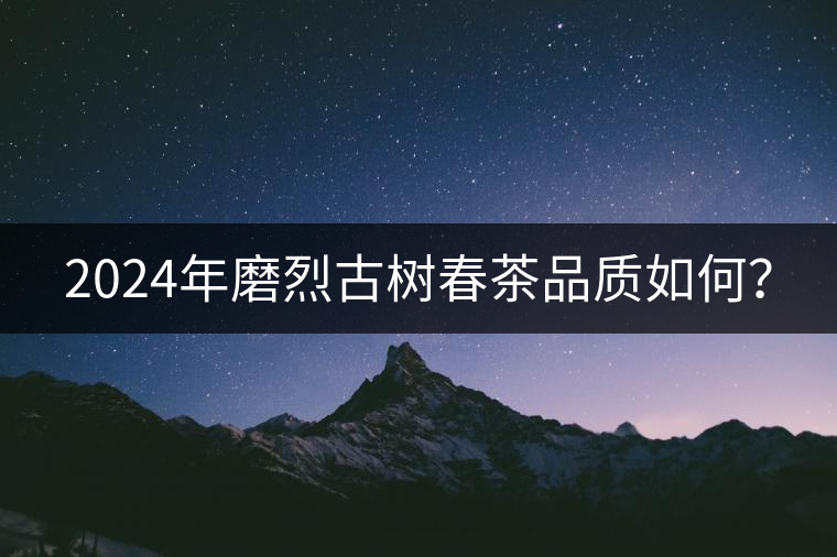 2024年磨烈古樹春茶品質如何? 2024年磨烈古樹春茶品質如何?