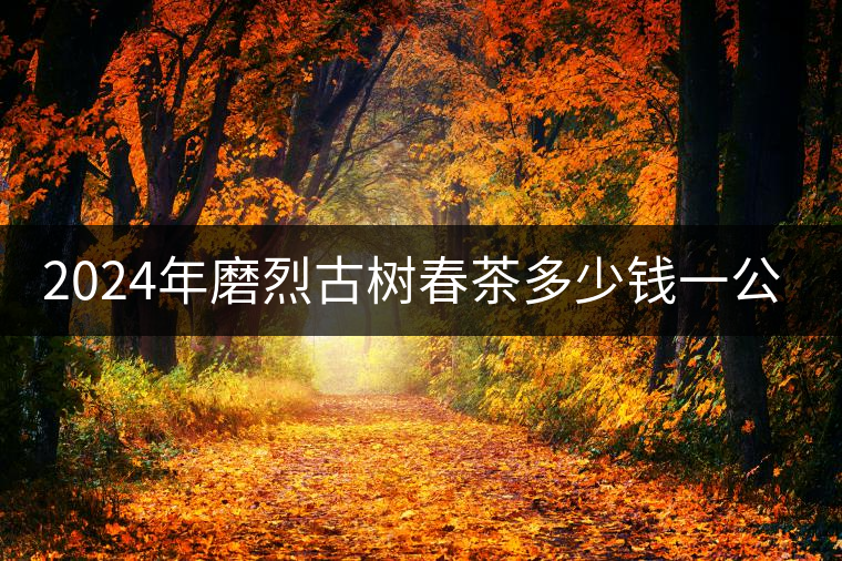 2024年磨烈古樹春茶多少錢一公斤? 2024年磨烈古樹春茶多少錢一公斤?