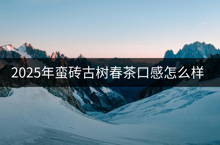 2025年蠻磚古樹春茶口感怎么樣? 2025年蠻磚古樹春茶口感怎么樣?