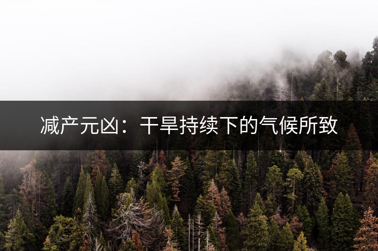 減產元兇：干旱持續下的氣候所致