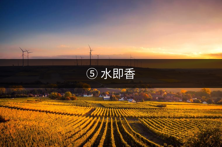⑤ 水即香 ⑤ 水即香