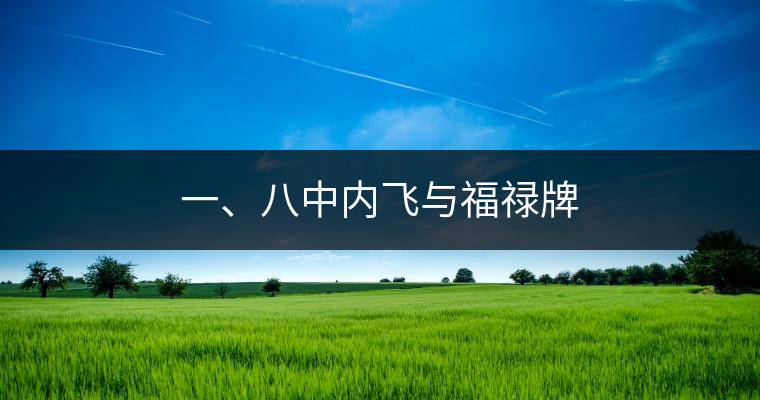 一、八中內飛與福祿牌 一、八中內飛與福祿牌