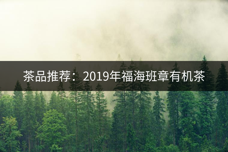 茶品推薦:2019年福海班章有機茶 茶品推薦:2019年福海班章有機茶