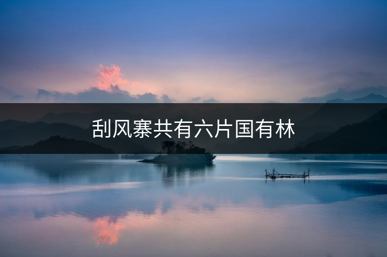 刮風寨共有六片國有林 刮風寨共有六片國有林
