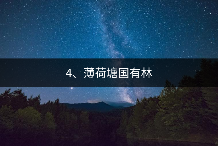 4、薄荷塘國有林 4、薄荷塘國有林